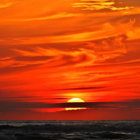 Ferienhaus Geniessen Am Meer Mit Wellnesszugang Egmond aan Zee Bagian luar foto