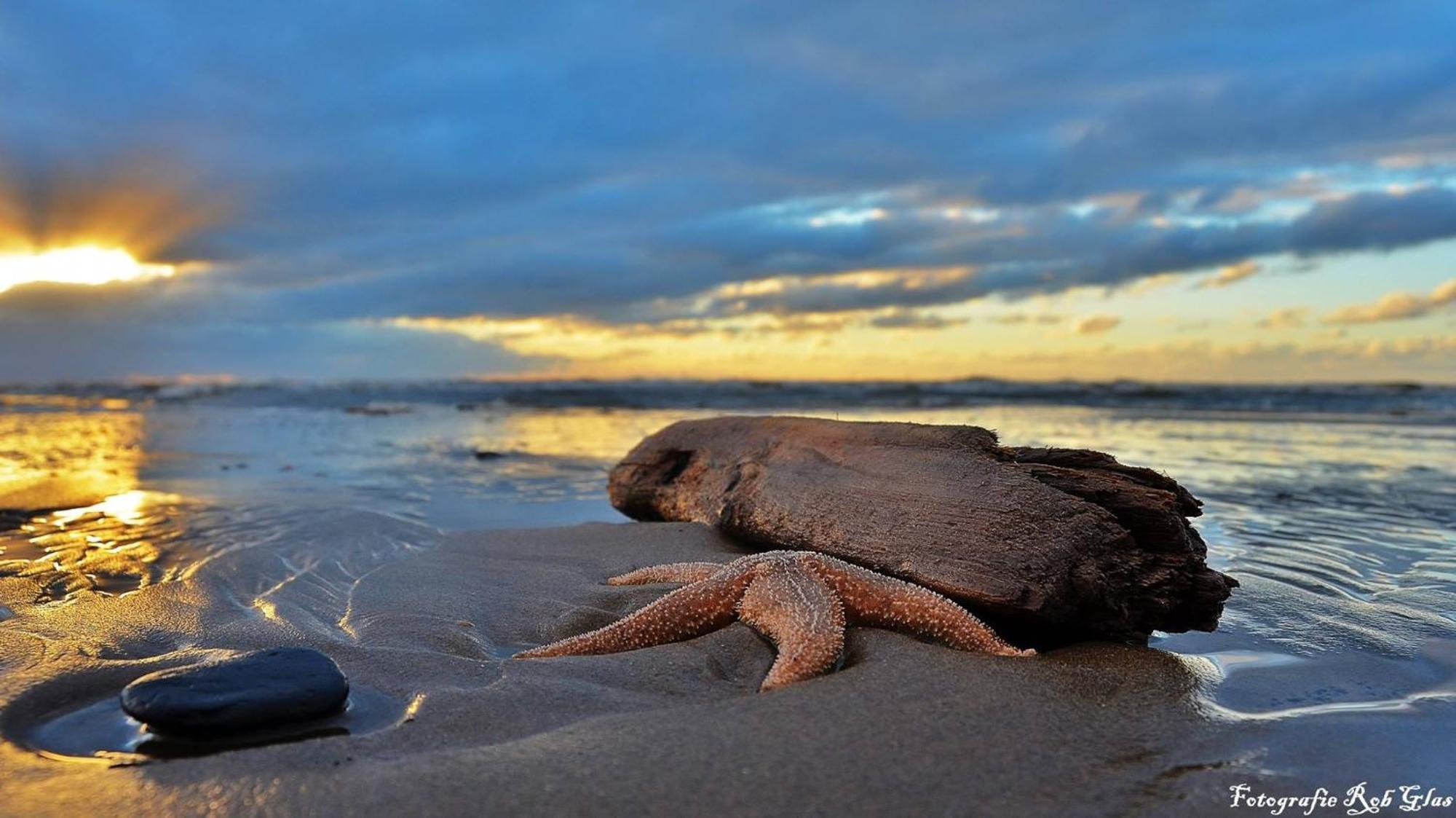 Ferienhaus Geniessen Am Meer Mit Wellnesszugang Egmond aan Zee Bagian luar foto